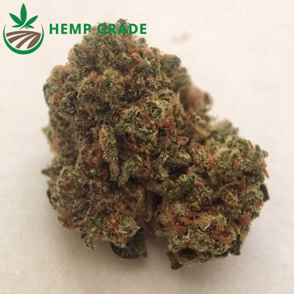 Buy Jumble Cookie CBD Hemp Flower Online